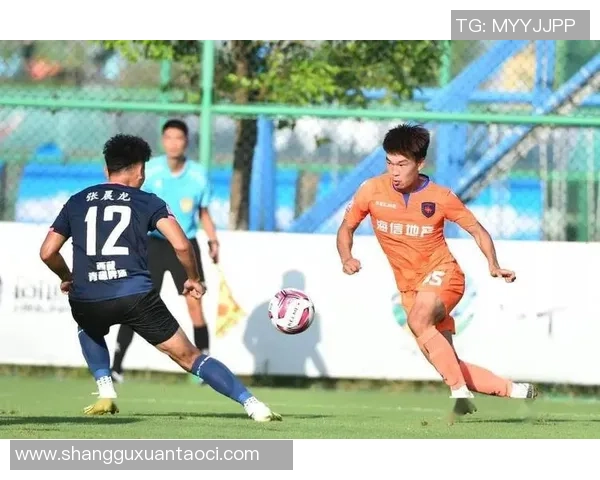 宣城足球明星盘点及其在国内外赛场的表现与成就分析