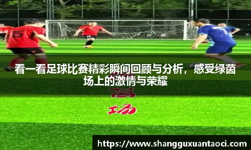 看一看足球比赛精彩瞬间回顾与分析，感受绿茵场上的激情与荣耀