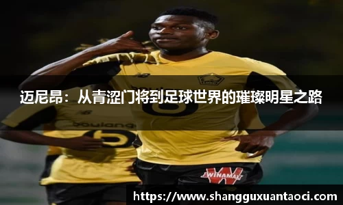 迈尼昂：从青涩门将到足球世界的璀璨明星之路