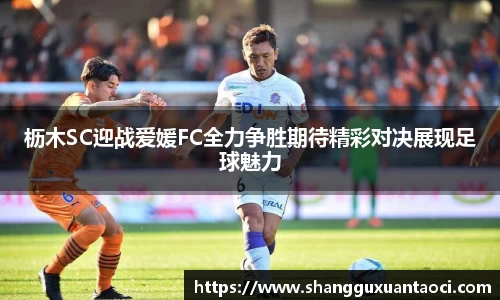 枥木SC迎战爱媛FC全力争胜期待精彩对决展现足球魅力