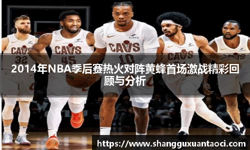 2014年NBA季后赛热火对阵黄蜂首场激战精彩回顾与分析